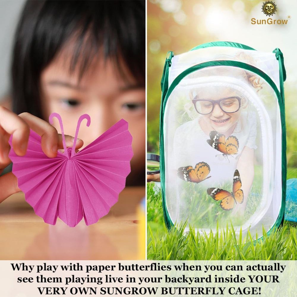 SunGrow butterfly habitat top ventilation view promotes light and air for healthy progression.