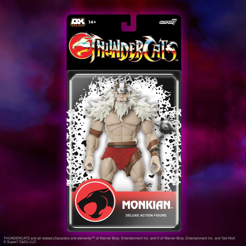 Deluxe cardback packaging evokes classic ThunderCats presentation.
