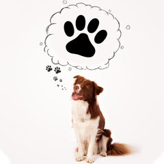 Supervitae paw print stamps measure 12 mm diameter for small projects.