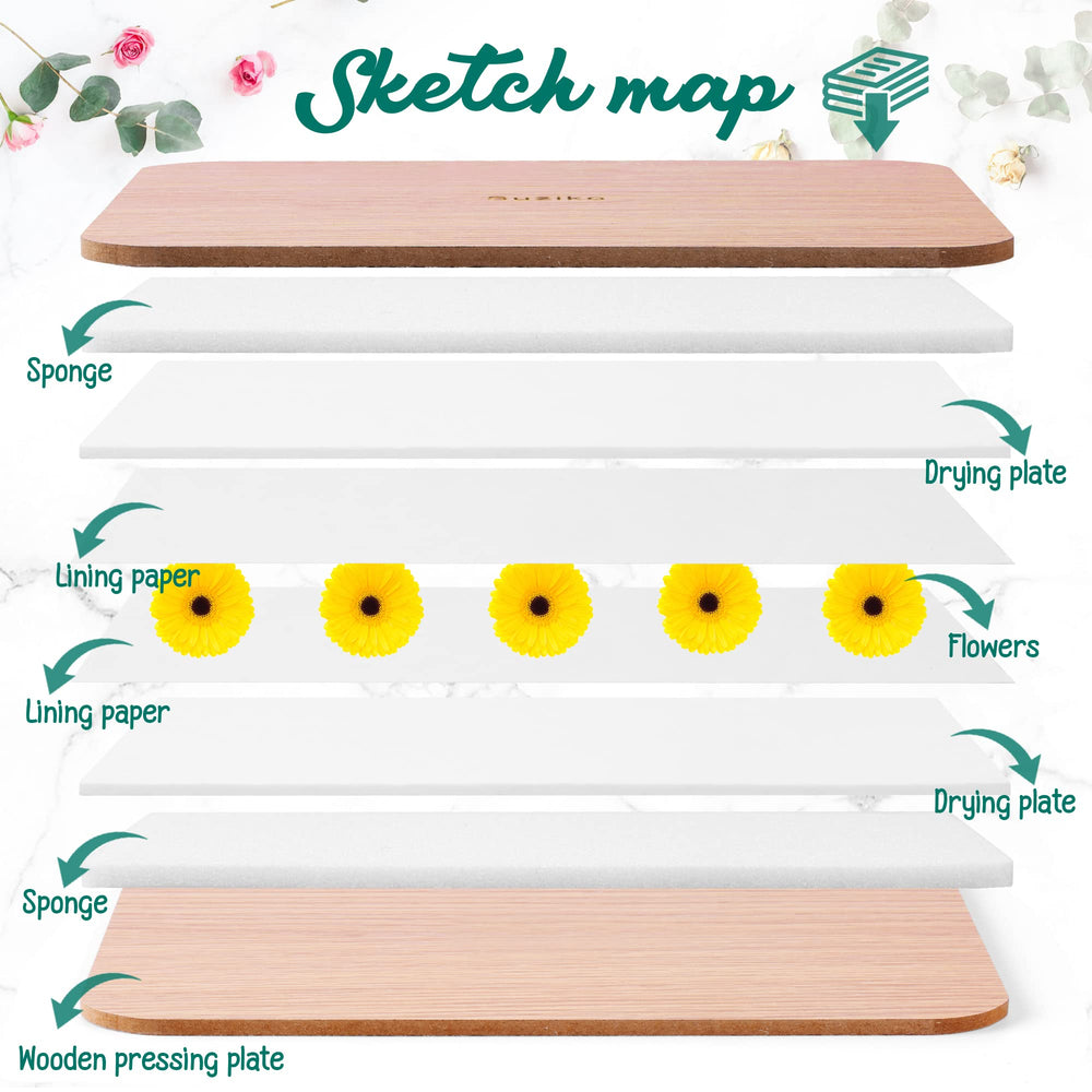 Suziko drying plates and sponges absorb moisture evenly for crisp pressed art.