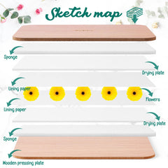 Suziko drying plates and sponges absorb moisture evenly for crisp pressed art.