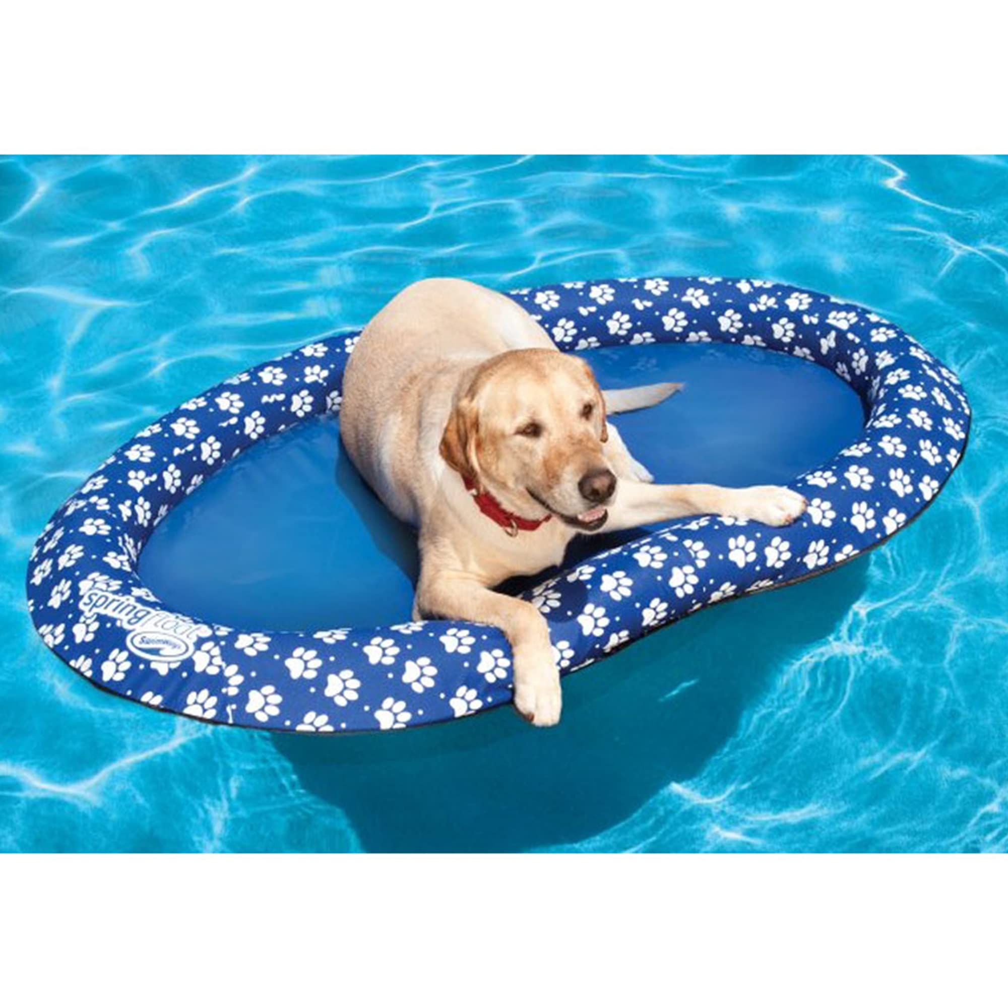 SwimWays Paddle Paws blue dog raft in use on the water with a large dog