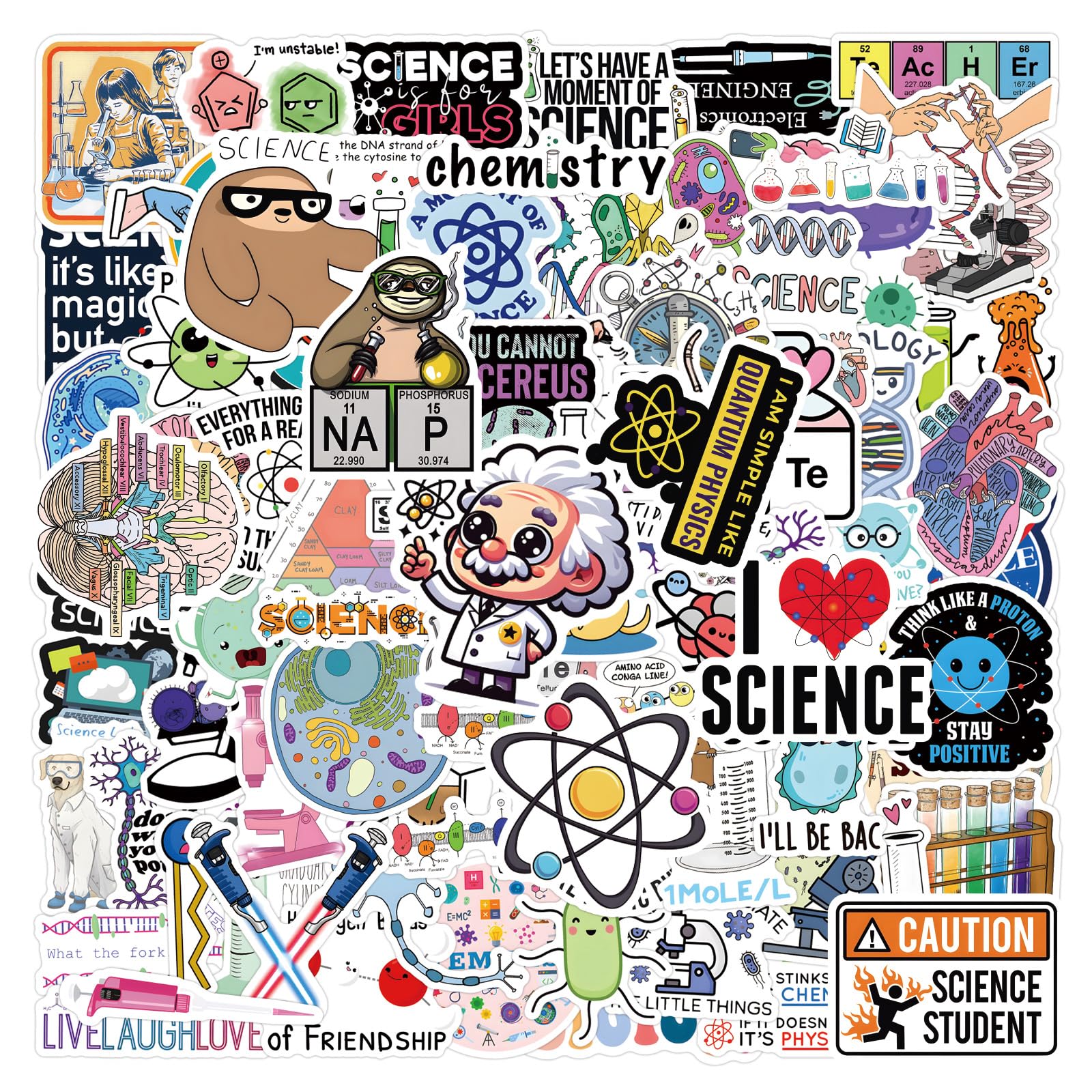 TaiLiHaile 110pcs science stickers pack for laptops and water bottles with durable color