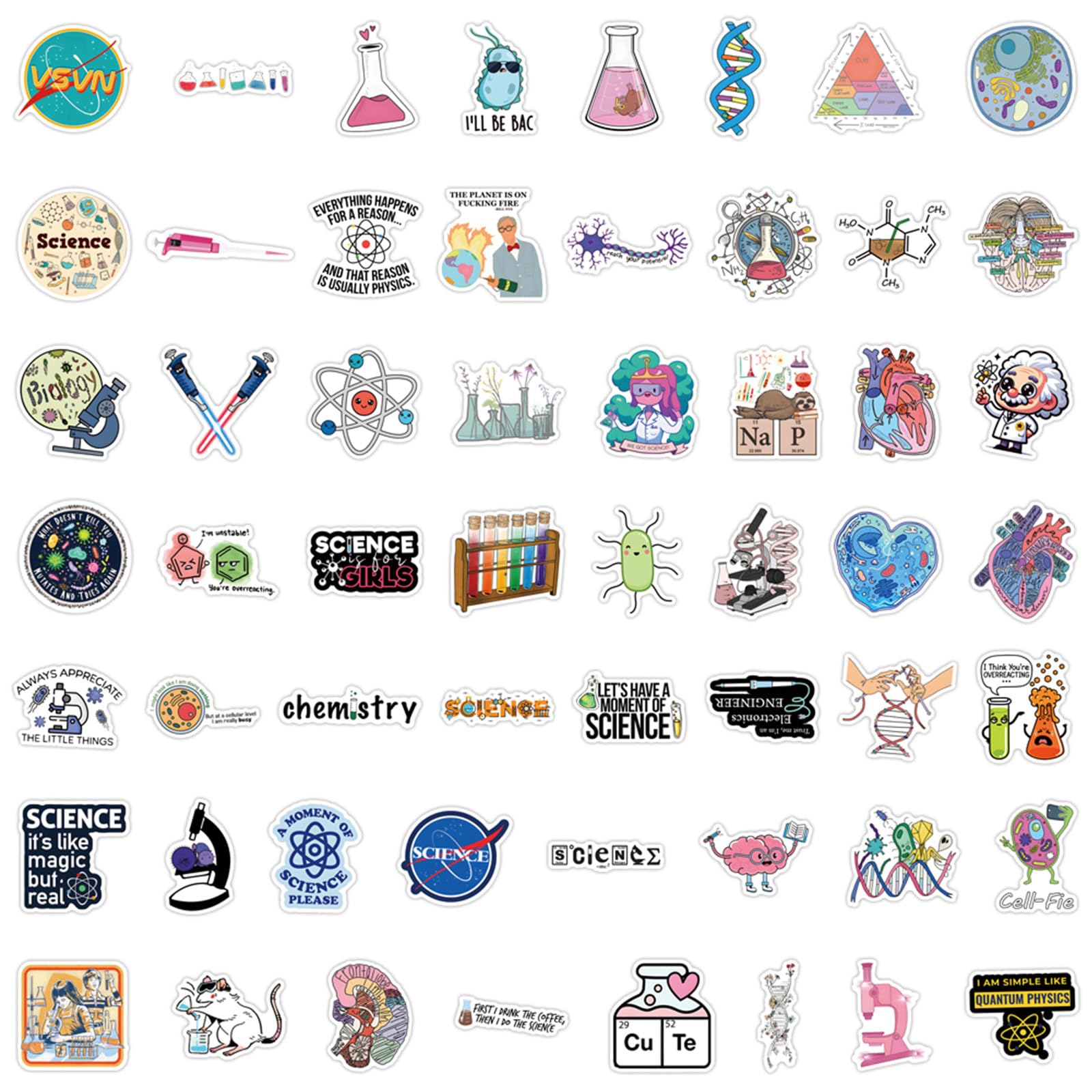 TaiLiHaile biology sticker design sparks curiosity on notebooks