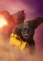 TAMASHII NATIONS SHIMO premium Bandai exclusive item.
