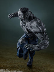 Tamashii Nations Yusuke bonus face part for display with Yusuke