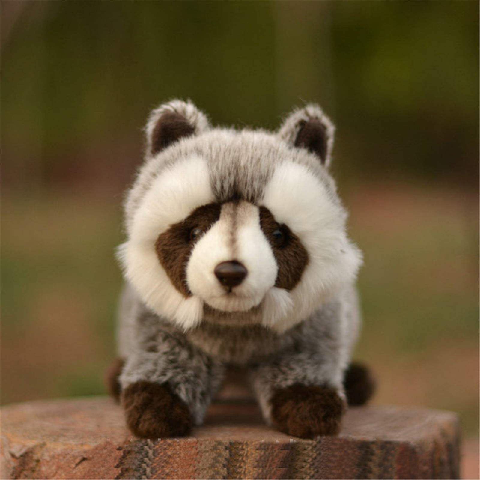 TAMMYFLYFLY raccoon plush – huggable 12in for soft, comforting snuggles.