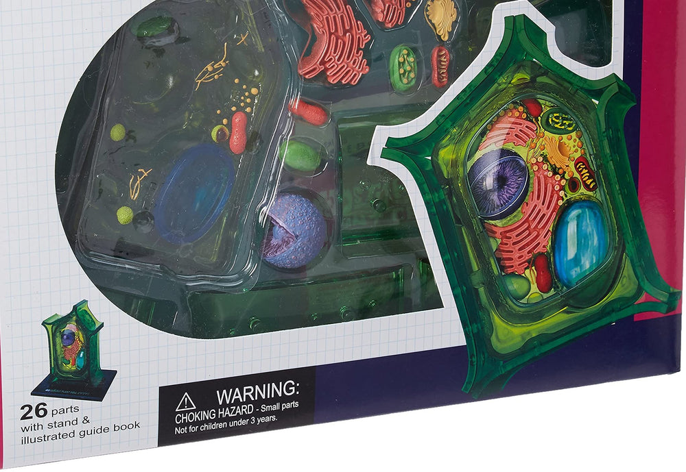 TEDCO Famemaster display stand with illustrated guide aid classroom demonstrations