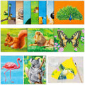 Teling dementia crafts with animal themes for elderly drawing therapy and engagement.