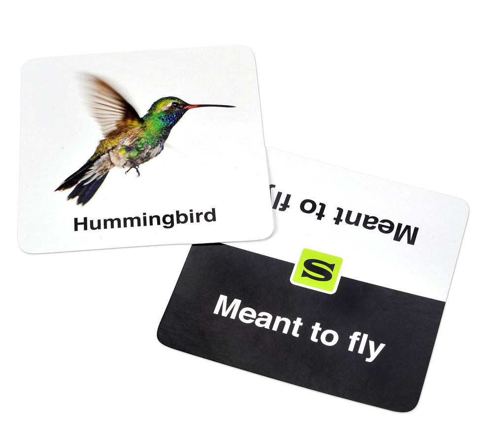 TENZI Slapzi educator friendly format supports quick cognitive flexibility.