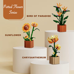 Texxxian Botanicals yellow chrysanthemum crisp assembly kit for focused building.