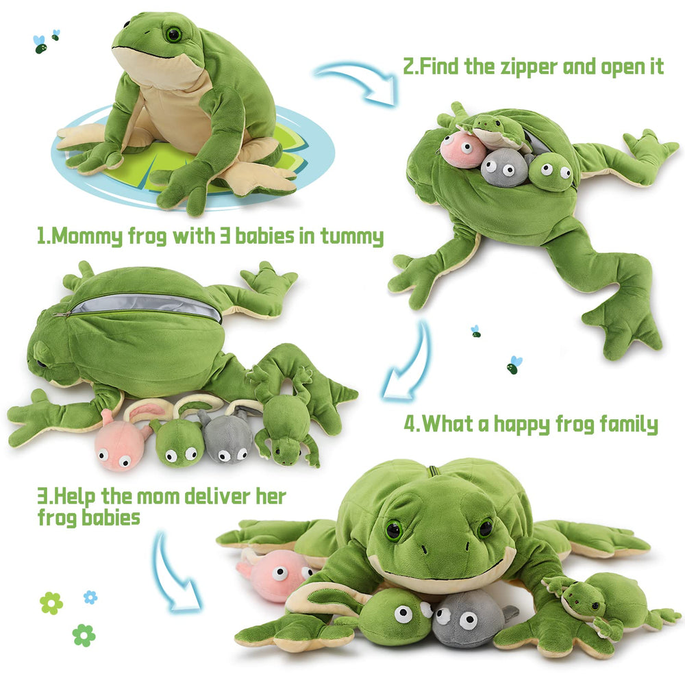Inside view shows three tadpoles and one baby frog for educational fun.