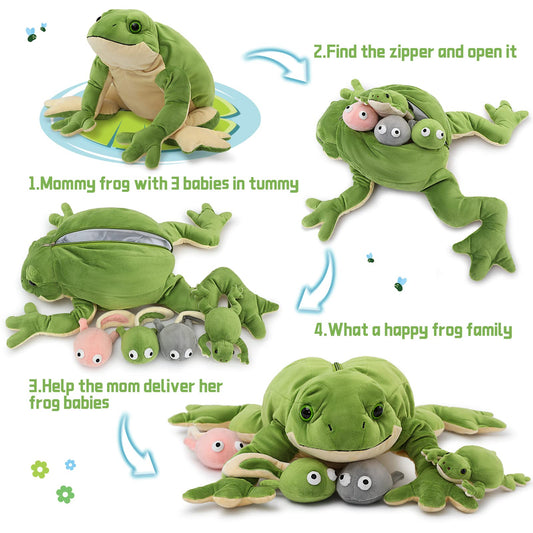 Inside view shows three tadpoles and one baby frog for educational fun.
