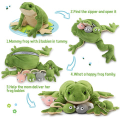 Inside view shows three tadpoles and one baby frog for educational fun.