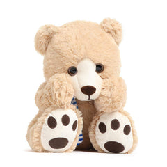 Tezituor teddy bear wearing blue striped scarf adds cozy style.