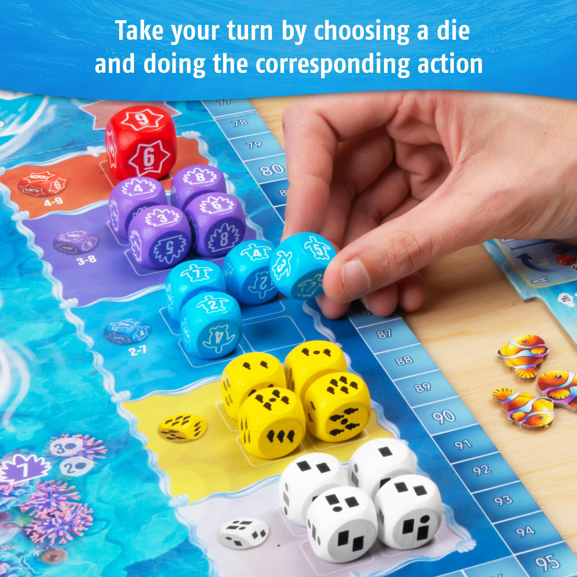 Australis sea turtles highlight, great for strategic planning with friends.
