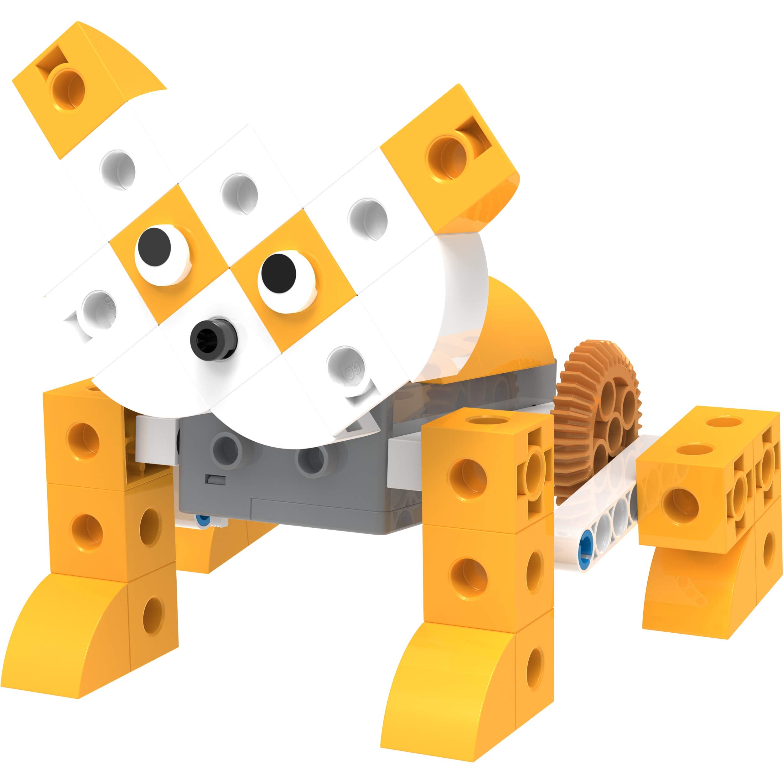 Thames & Kosmos Kids First Robot Pet Shop chameleon model demonstrates adaptable movement and adjustable mechanisms.