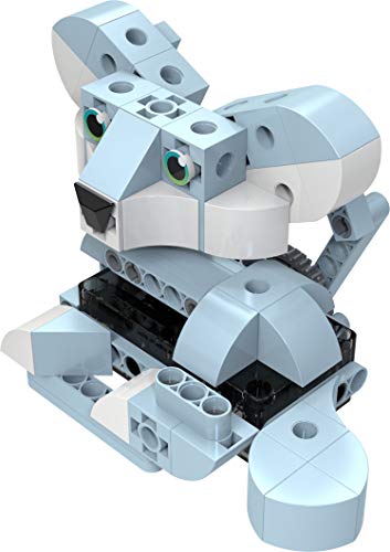Thames & Kosmos Kids First motor box powers multiple robot models.