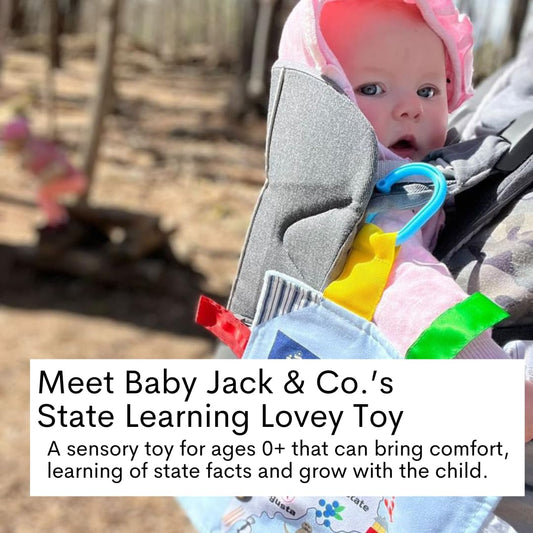 The Learning Lovey Baby Jack Co 8x8 displays Washington state pattern to engage cognitive and sensory curiosity.
