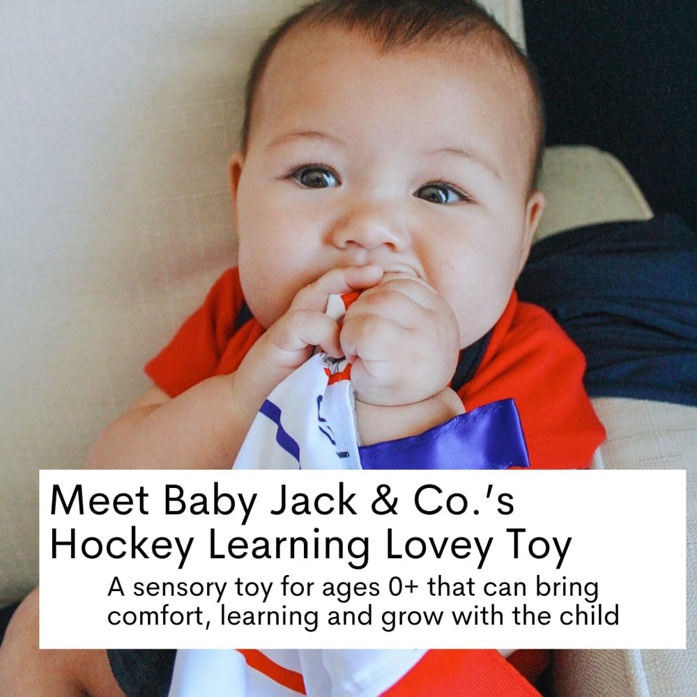 The Learning Lovey ice rink pattern lovey tag promotes color and shape learning