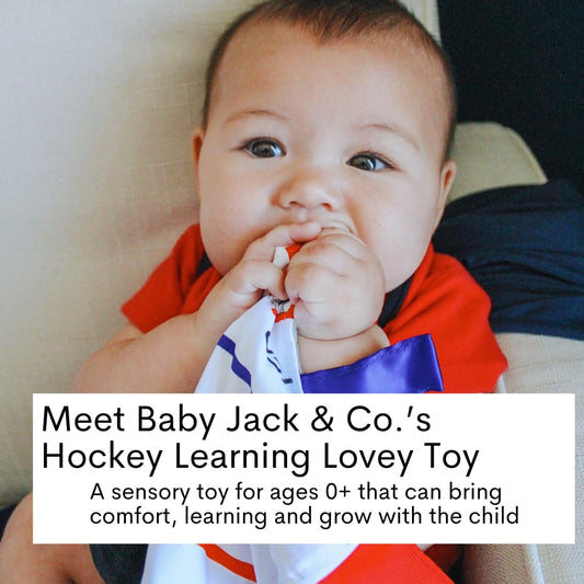 The Learning Lovey ice rink pattern lovey tag promotes color and shape learning