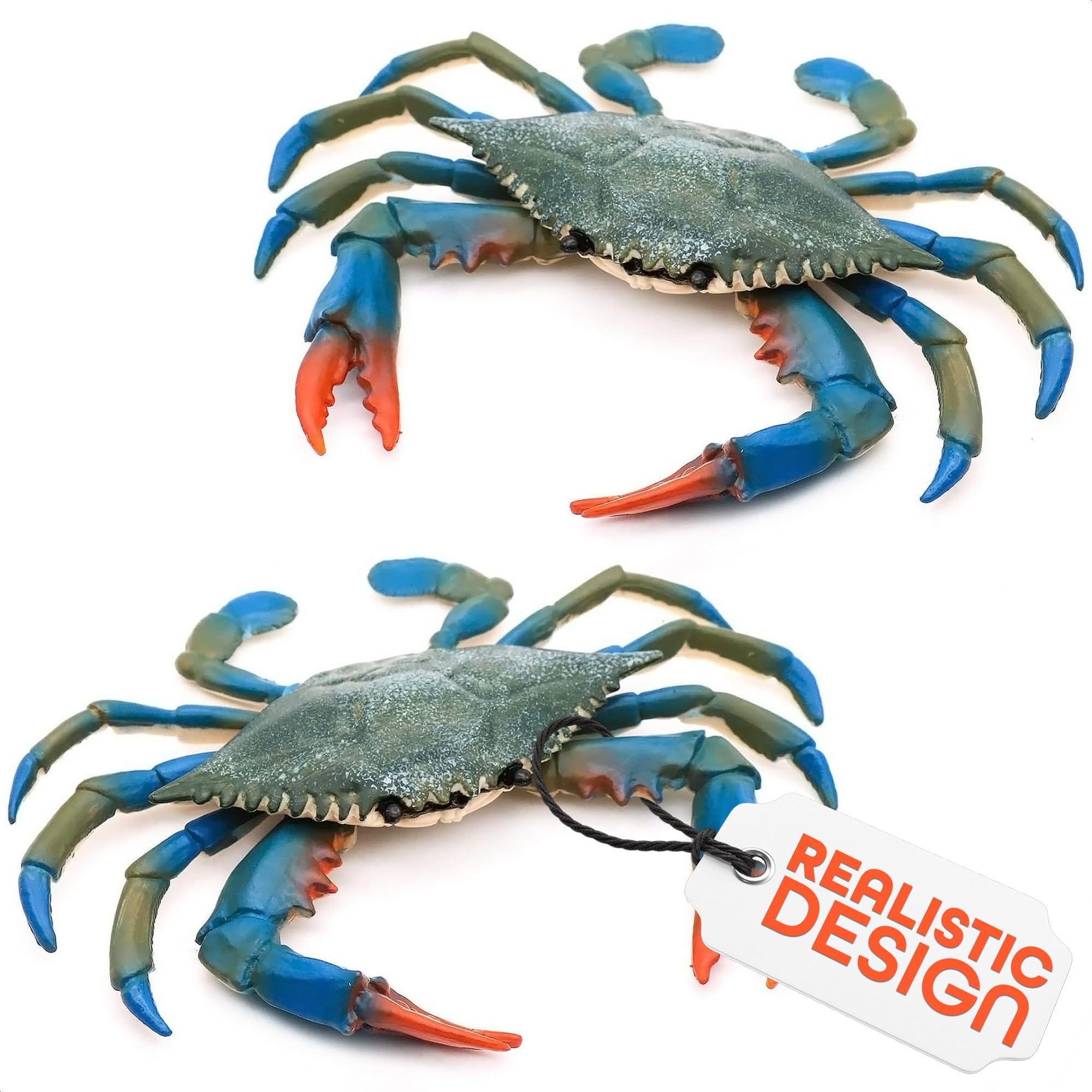The Little Green Change blue crab toy, front view for aquarium displays