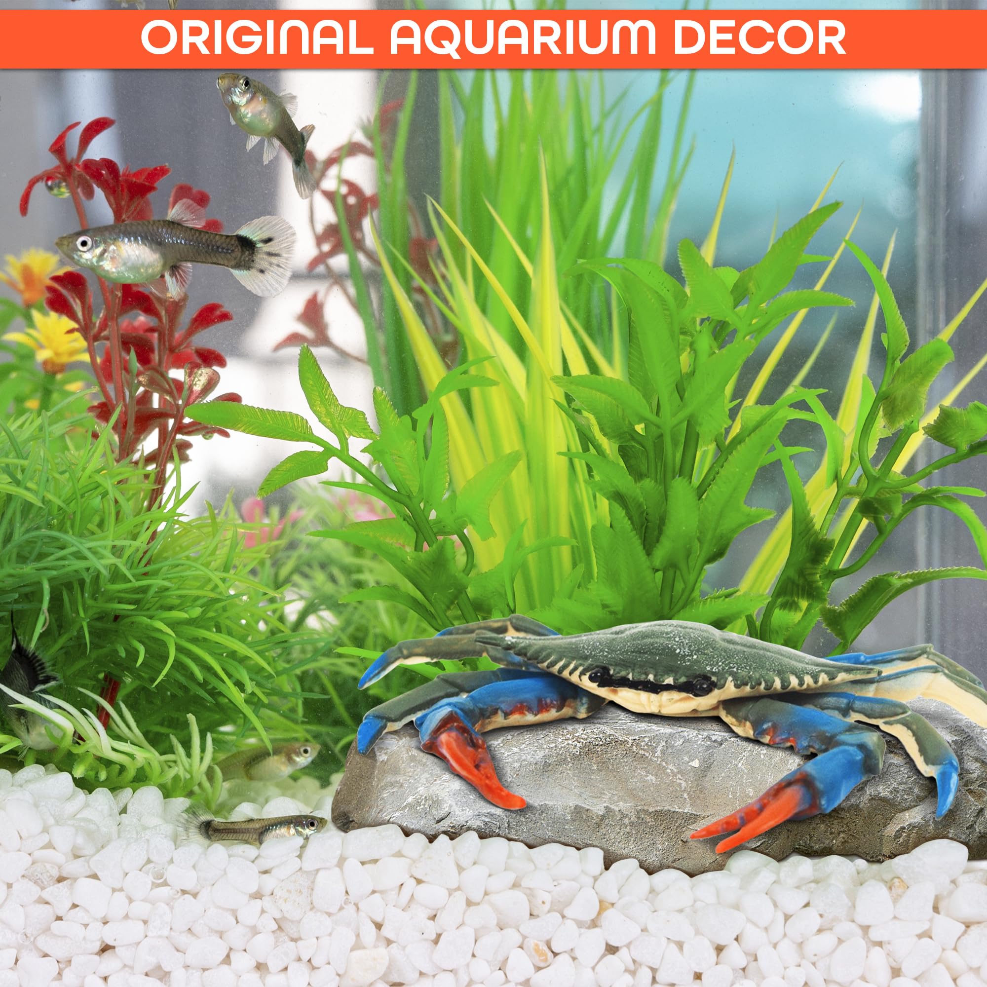 The Little Green Change blue crab toy packaging shot for coastal styling