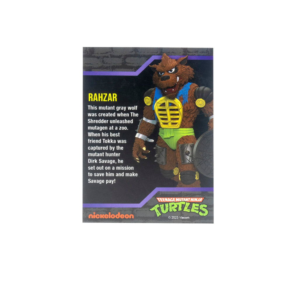 Rahzar figure shown for display alongside TMNT collection.