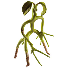 The Noble Collection Bendable Bowtruckle Pickett poseable figure for imaginative play.