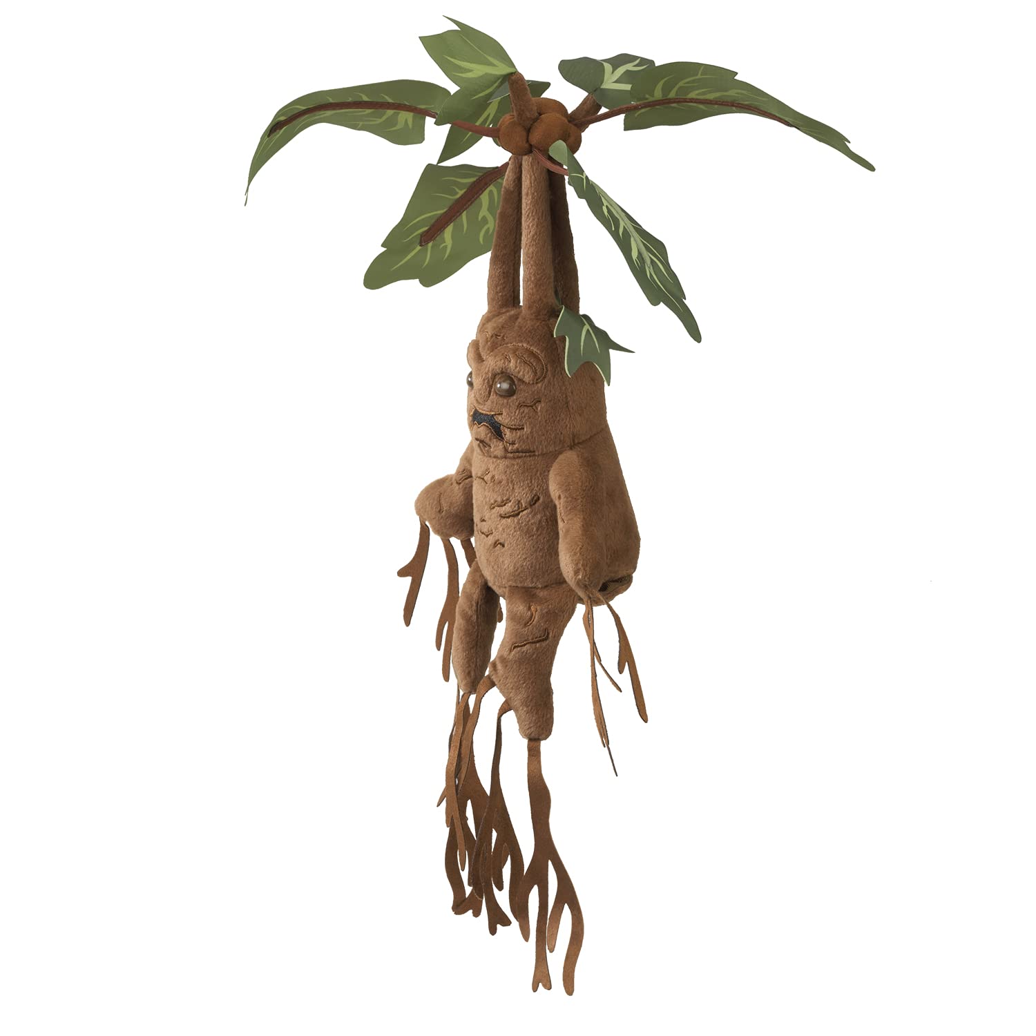 Mandrake on display, ready for desks or shelves