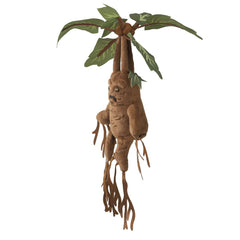 Mandrake on display, ready for desks or shelves