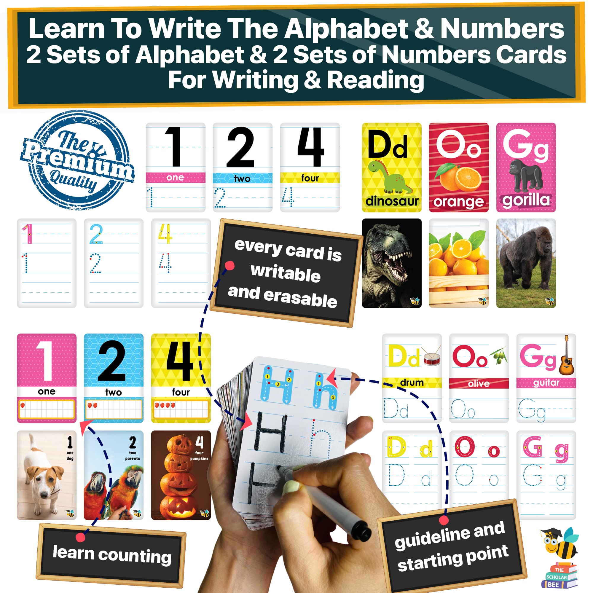 The Scholar Bee dry erase laminate cards invite repeated writing on a glossy surface.