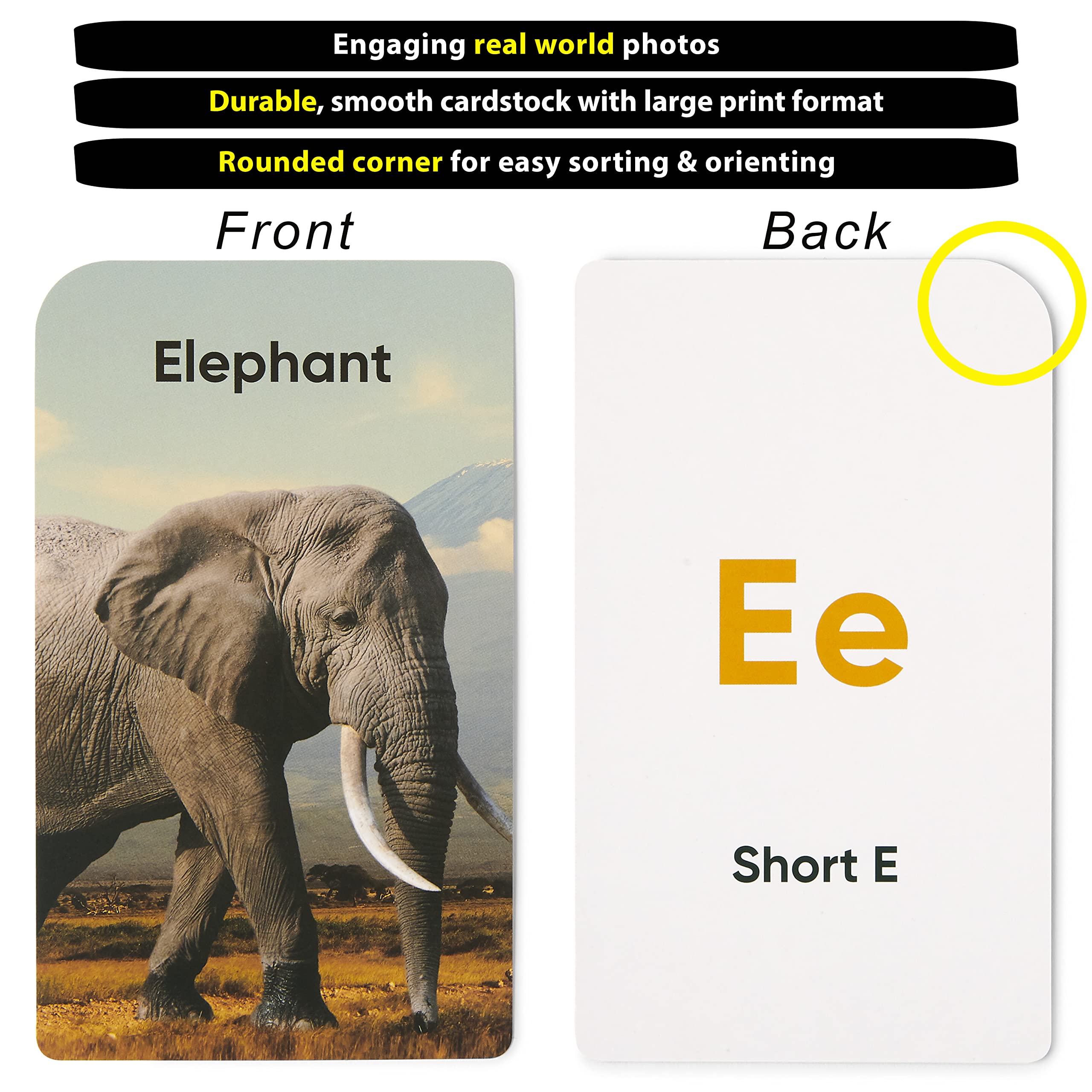 Think Tank Scholar first words and opposites cards with vocabulary