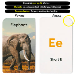 Think Tank Scholar first words and opposites cards with vocabulary