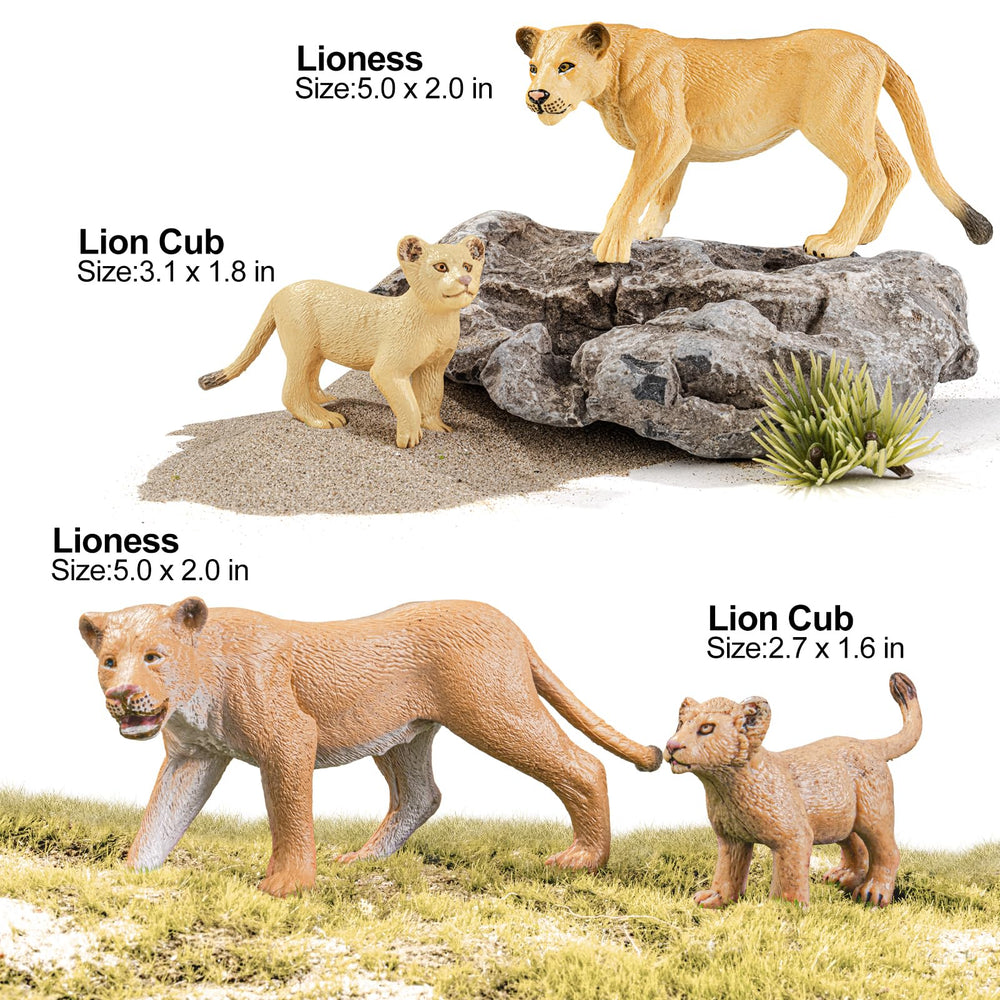 THINKBAY lion cubs capture playful energy for classroom storytelling