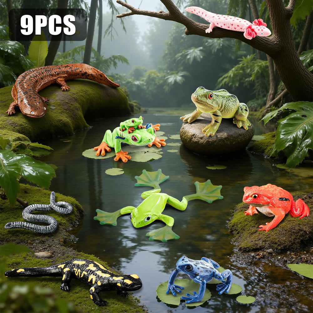 THINKBAY red-eyed tree frog figure for classroom exploration.