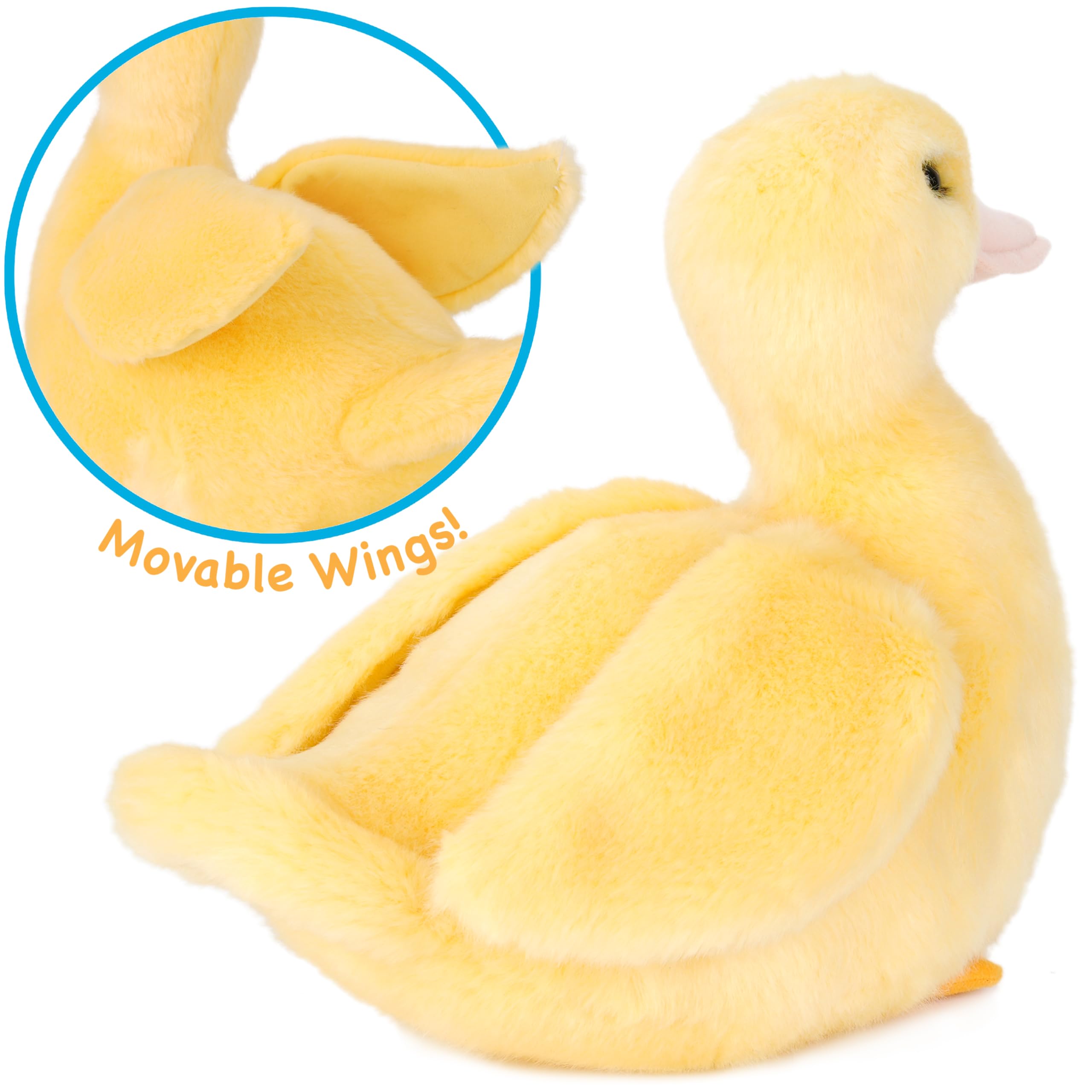 TigerHart Dani duckling care guidance image with hand wash and air dry tips.