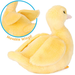 TigerHart Dani duckling care guidance image with hand wash and air dry tips.