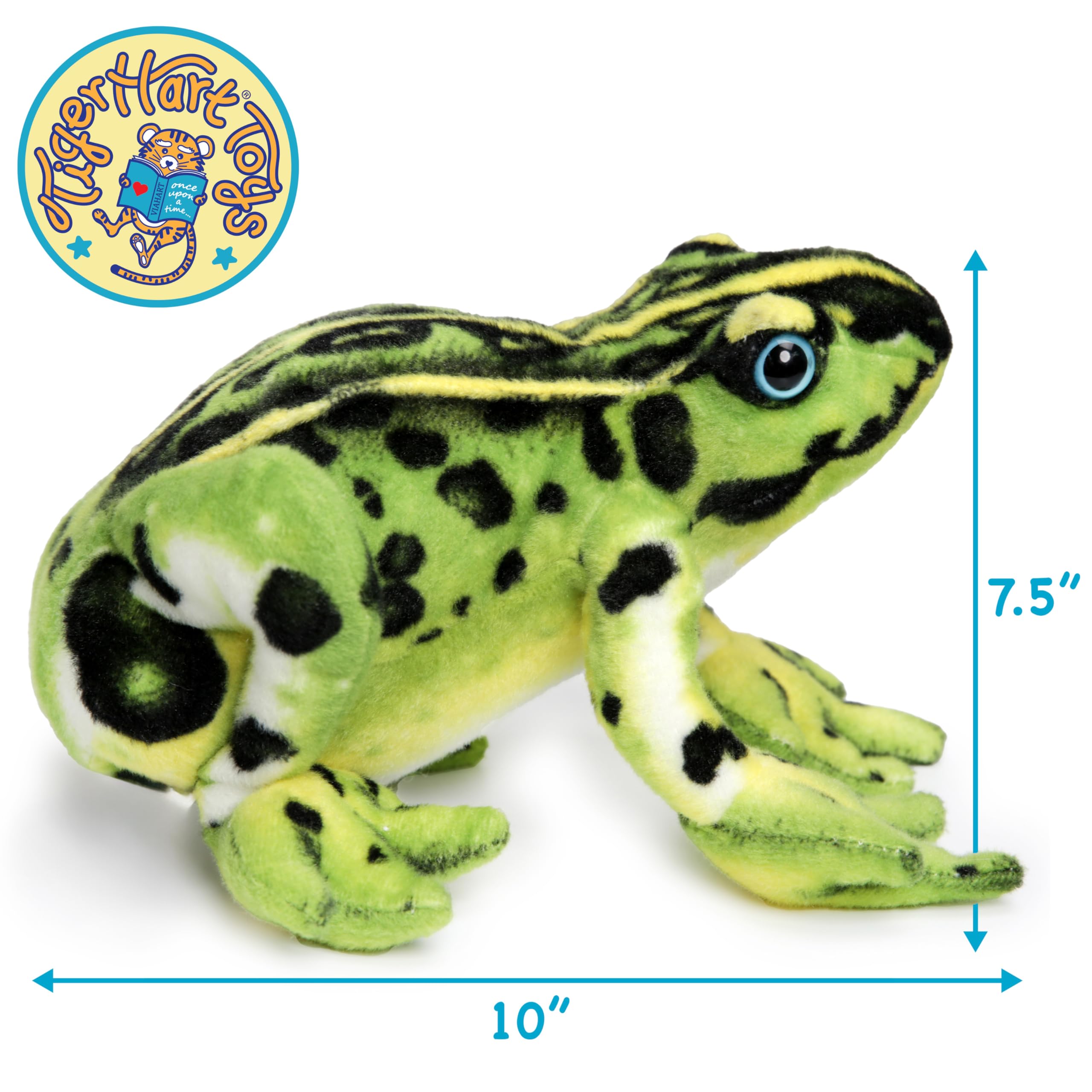 TigerHart Frisco the Frog front view with story card for imaginative play.
