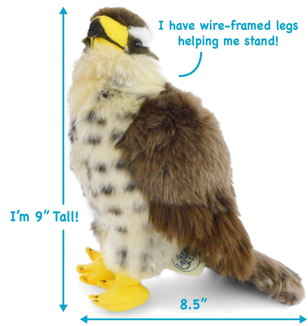 Percival Falcon plush includes a storycard for imaginative storytelling.