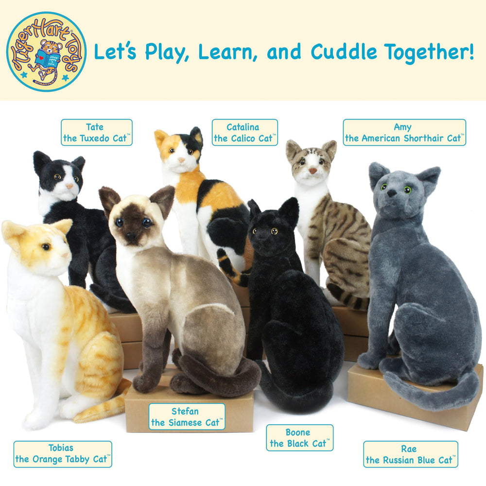 TigerHart Stefan Siamese Cat 14in size ideal for cuddles and display.