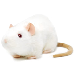 TigerHart Wylie White Rat plush face close-up, showing soft fur and friendly eyes for cuddling.