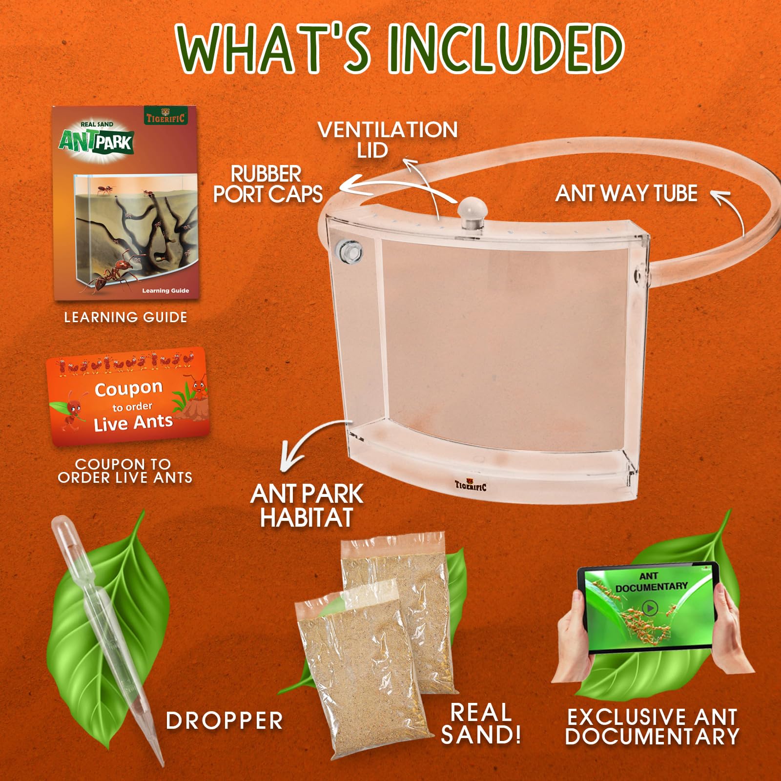 Tigerific Ant Farm optional live ants purchase adds real-life observation to the setup.