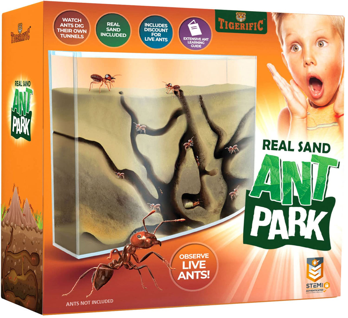 Tigerific Ant Farm offers a clear colony view for hands-on science learning.
