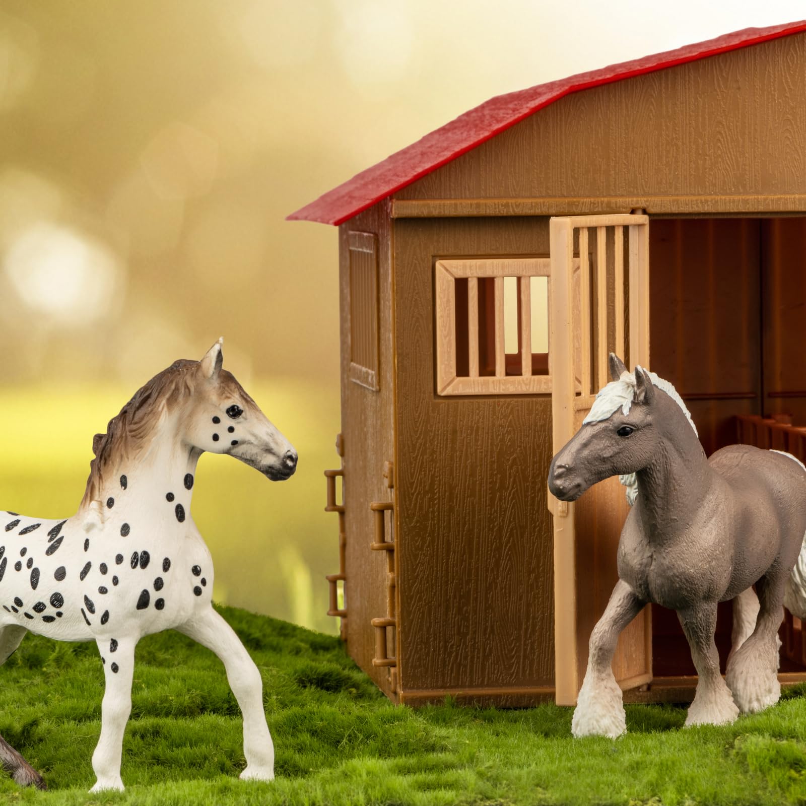 TikOnsYol breed variety includes Icelandic, Appaloosa, Fjord, and more showcased.