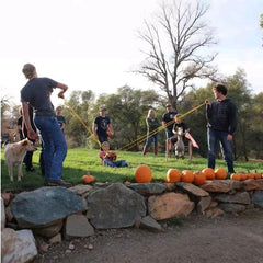 TiMi Tree water balloons pack ideal for three-person games.