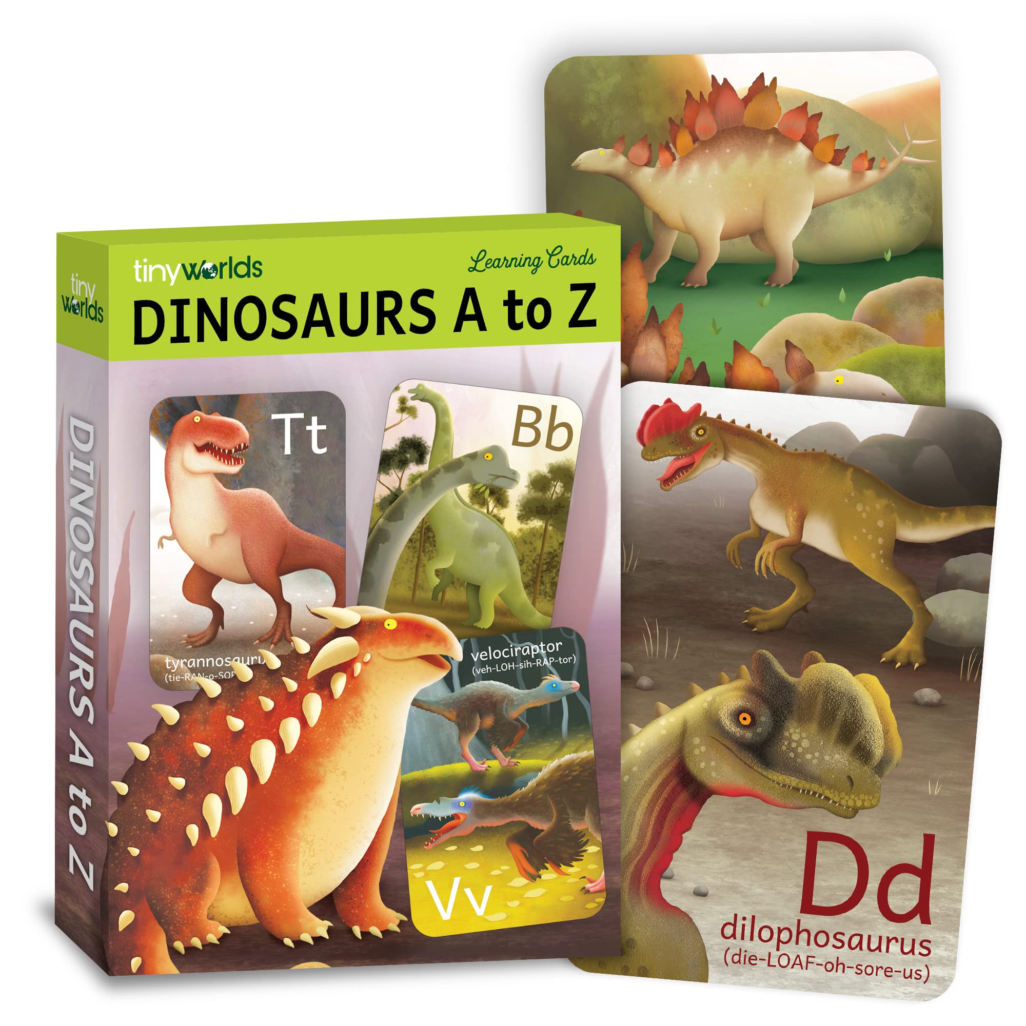 Tiny Worlds dinosaur ABC card A Brontosaurus illustration supports early literacy and letter recognition.