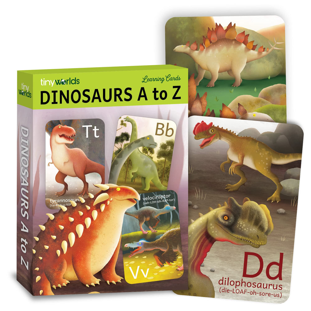 Tiny Worlds dinosaur ABC card A Brontosaurus illustration supports early literacy and letter recognition.