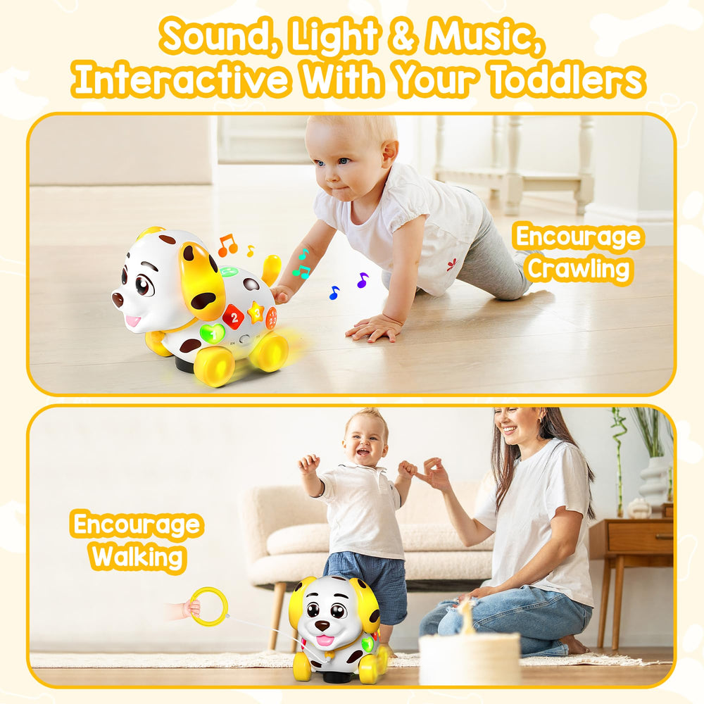 Puppy toy's self-moving wheels encourage crawling and exploration for 6-12 month olds.
