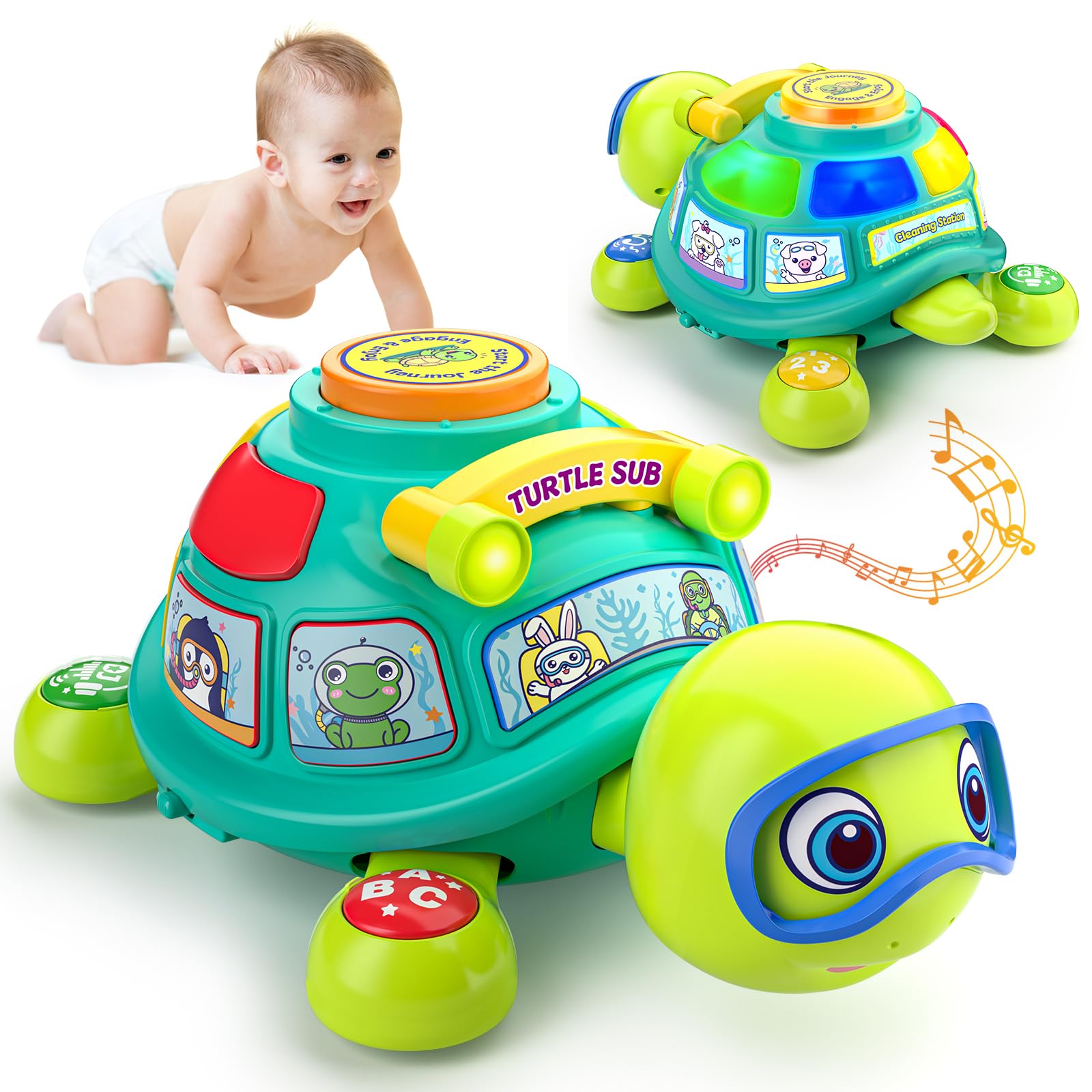 ToddlerCley musical turtle toy with bright lights and music to engage baby